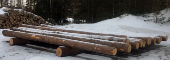 24 feet Redpine Logs