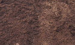 Aged Natural Mulch