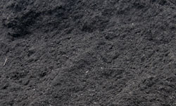 Black Bark Mulch