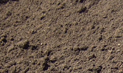 Blended Soil